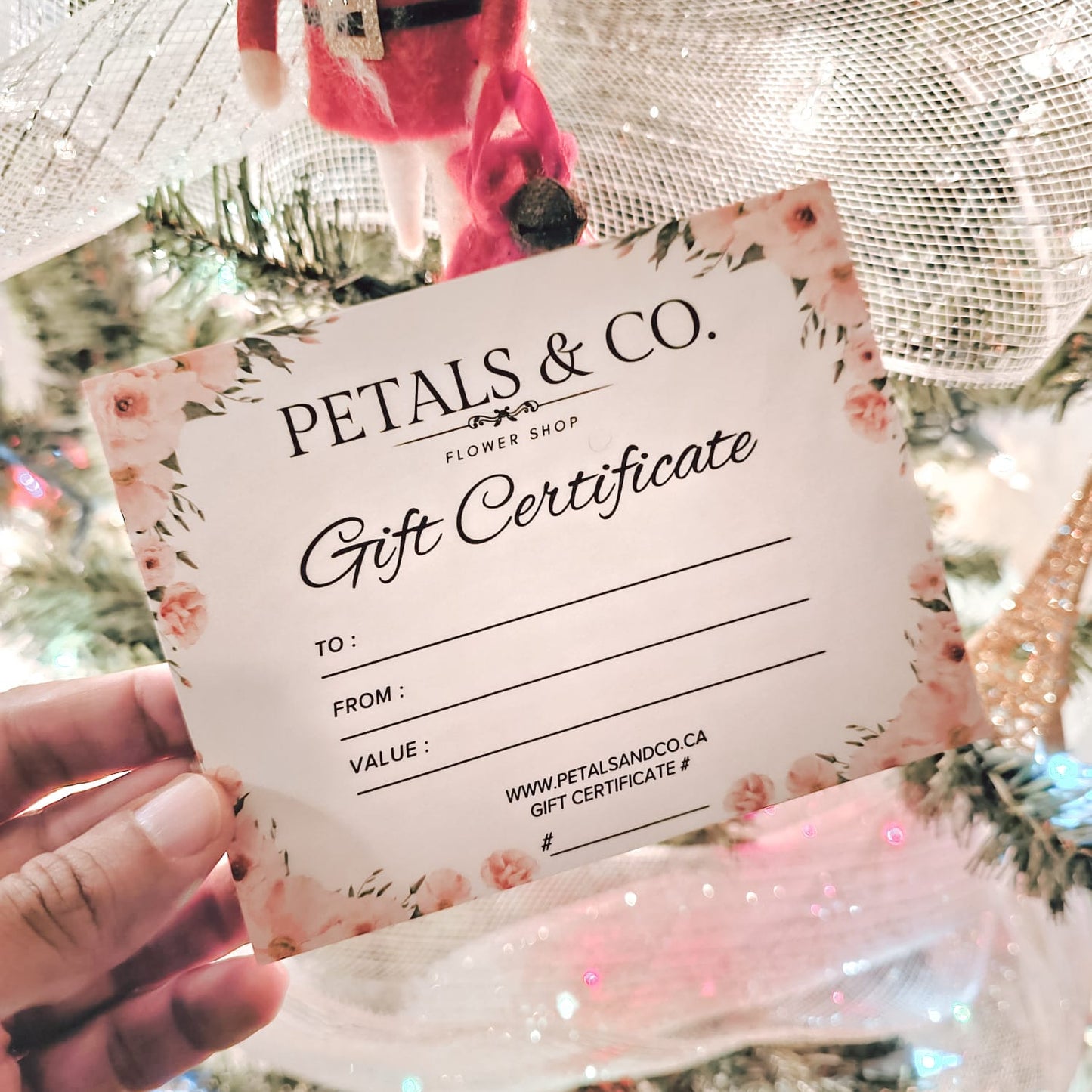 Holiday Gift Card ($100)